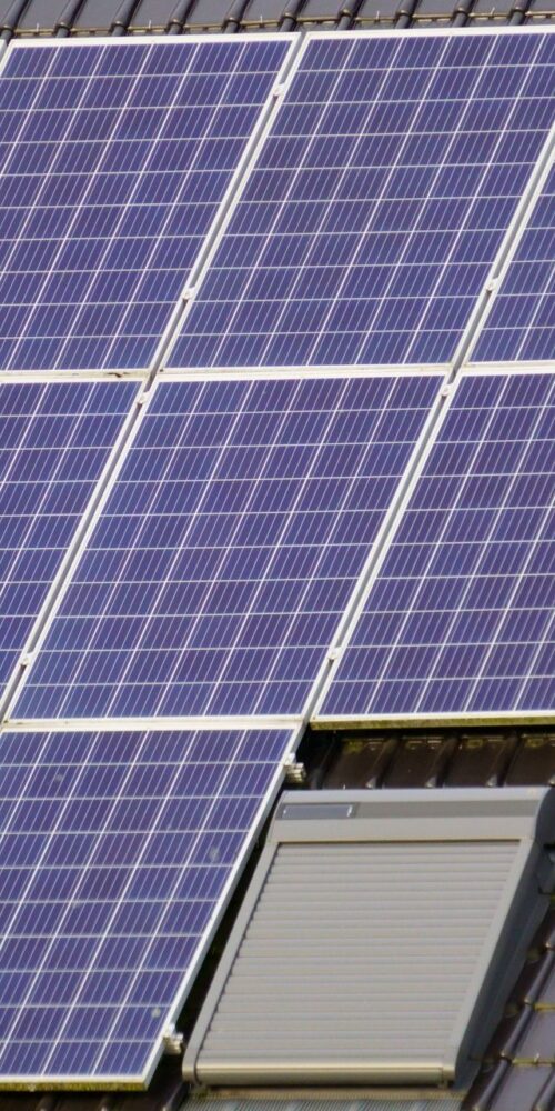 ¿Es rentable poner placas solares Guía real