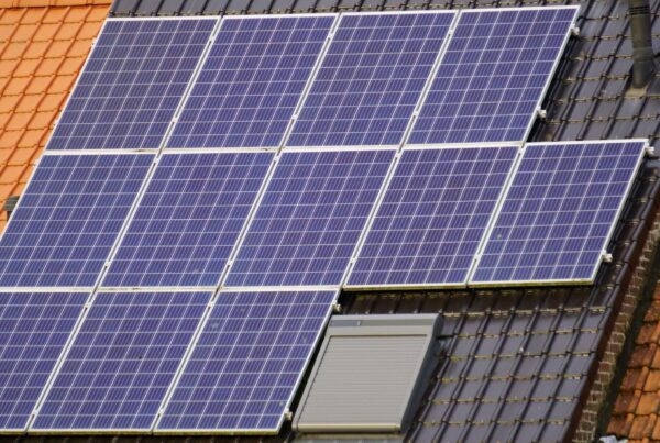 ¿Es rentable poner placas solares Guía real