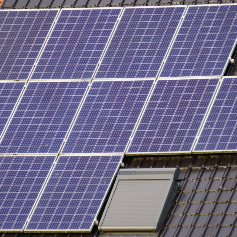 ¿Es rentable poner placas solares Guía real